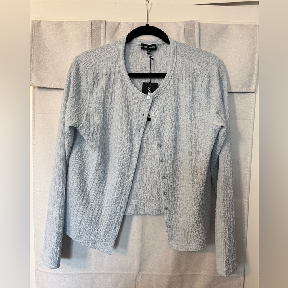 Modern Works Textured baby blue pearly button up top